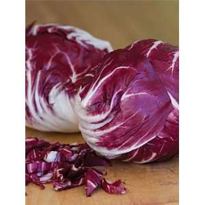  The Cooks Garden   Radicchio, Indigo Patio, Lawn 