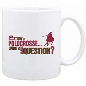   Polocrosse  What A Stupid Question ?  Mug Sports