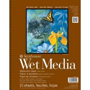  Strathmore Wet Media 9x12 Arts, Crafts & Sewing