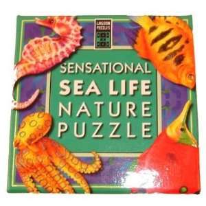   Sensational Sea Life   Pattern Matching Puzzle Toys & Games