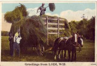 GREETINGS FROM LODI, WI PITCHING HAY ONTO HORSE DRAWN WAGON 1921 
