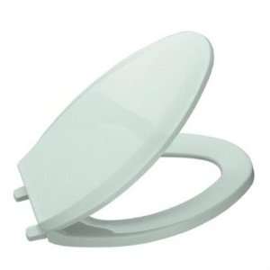  Lustra Elongated Closed Front Toilet Seat in Seafoam Green 
