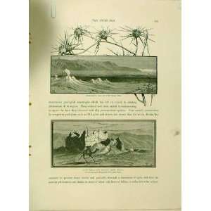  Dead Sea, Kasr Hajla, Cliffs Kedron 1883 Old Print