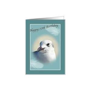  77th Birthday Card with Laughing Gull Card Toys & Games