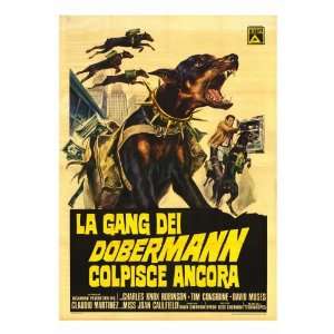 The Doberman Gang Movie Poster (27 x 40 Inches   69cm x 102cm) (1972 