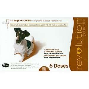  REVOLUTION FOR DOGS 10 20 POUNDS 6 PK