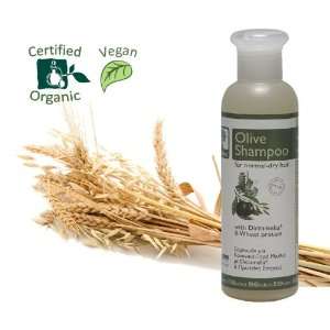  BIOselect   Olive Shampoo for Normal Dry Hair Beauty