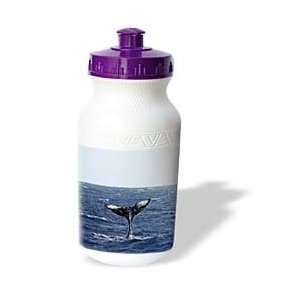   Whales n Dolphins   Humpback Whale   Water Bottles