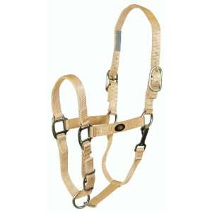  Horse Halter with Brushed Hardware and Snap (1100 to 1600 lb. Horse 