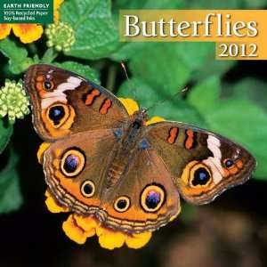  Butterflies 2012 Mini Wall Calendar