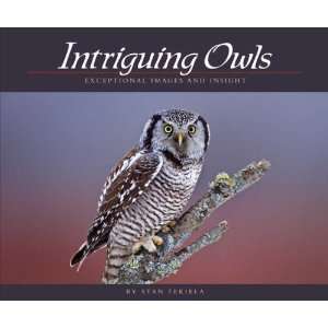  Intriguing Owls (Books) (Owl) 