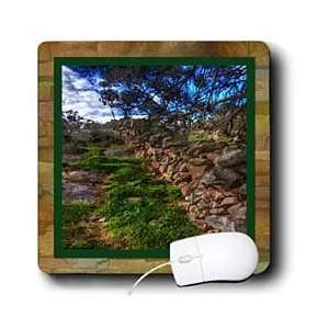   Brown Designs Nature Themes   Stone Path   Mouse Pads Electronics