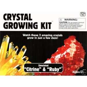  Crystal Growing Kit Citrine & Ruby Discover Science Toys & Games