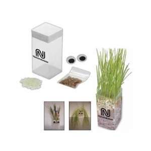 Wheatgrass grow kit. 