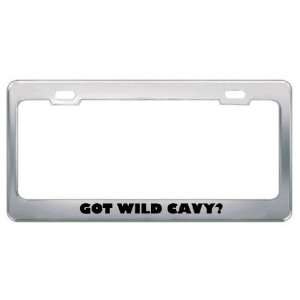 Got Wild Cavy? Animals Pets Metal License Plate Frame Holder Border 