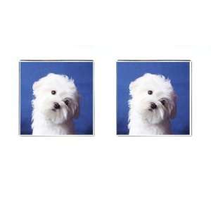 maltese Puppy Dog 3 Square Cufflinks F0723