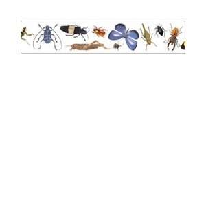  Edupress Ep 587 Insects Photo Border Toys & Games