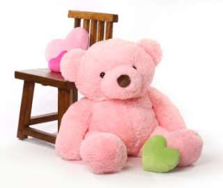Chubby 38 Pink Teddy Bear
