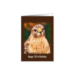  Birthday, 101st, Red shouldered Hawk Card Toys & Games