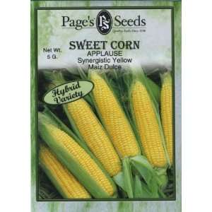 Corn Applause (Synergistic Yellow) Patio, Lawn & Garden