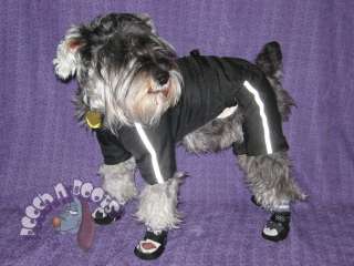 pleae chceck out our customer s dog wearing our products