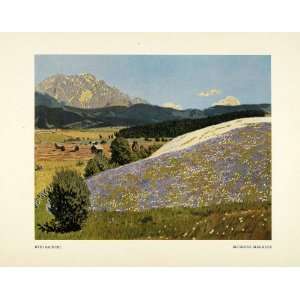  1914 Print Flower Mountain Meadow Purple Grass Tree Art 