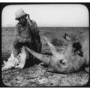  Theodore Roosevelt in Africa,dead rhino and bird,c1909 