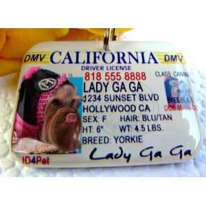  California Driver License Pet Identification Tag for Cats 