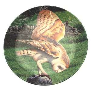  Wedgwood owl plate The Majesty of Owls Barn Owl Trevor 