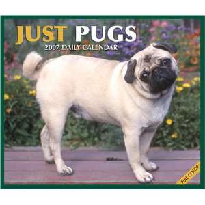  Just Pugs 2007 Box Calendar (9781595434142) Books