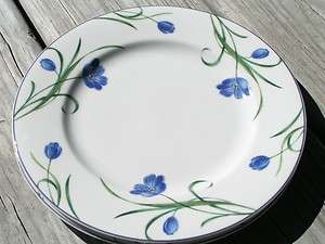 Garden Poetry by Mikasa Y4005 LOT 2 SALAD PLATES blue  
