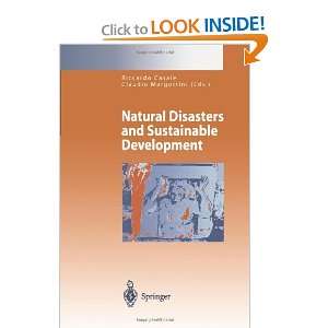  Natural Disasters and Sustainable Development 
