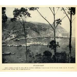  1931 Print Avalon Bay Ships Santa Catalina Island California 