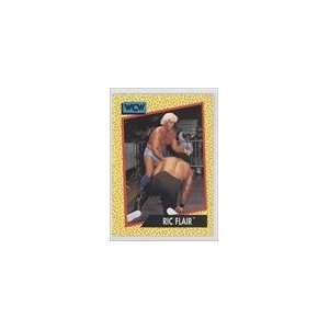  1991 Impel WCW #38   Ric Flair Sports Collectibles