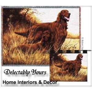 Red Irish Setters Throw Blanket by Robert May 