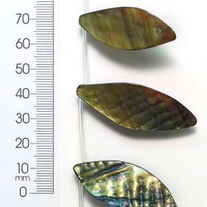  Tinted Shell Leaf Olive 2x8 Strand *On Sale* You save 25 
