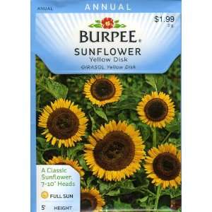   Burpee 38380 Sunflower Yellow Disk Seed Packet Patio, Lawn & Garden
