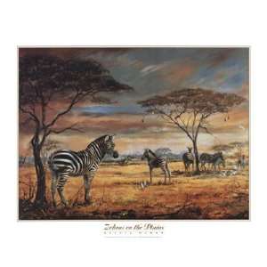 Zebras On The Plains Poster Print 