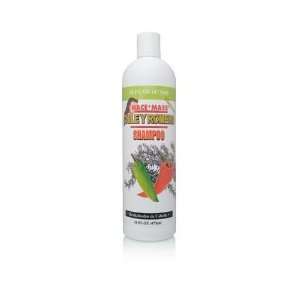  Shampoo Chile & Romero / 16 fl oz. Beauty