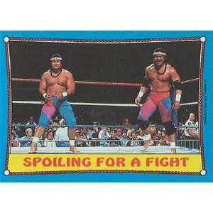  1987 WWF Topps Wrestling Stars Trading Card #28  The 