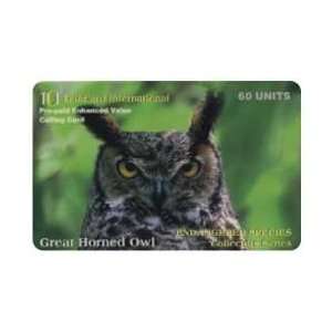   Card 60u Great Horned Owl Endangered Animal Species Collectors Series