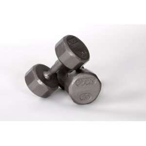 VTX 12 Sided Solid Gray Dumbbell with Steel Contoured Handles   10lb 