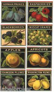 1885 STONE LITHOGRAPH CAN LABEL SAMPLES VINTAGE FRUIT  