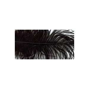 Ostrich Feathers 2/Pkg Black