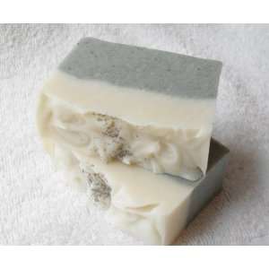  2 Pack Cambrian Blue Detox Soap Beauty