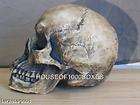 SKULL REALISTIC LIFE SIZE MORBID DEATH MEDICAL WITCH PAGAN ODDITY HOME 