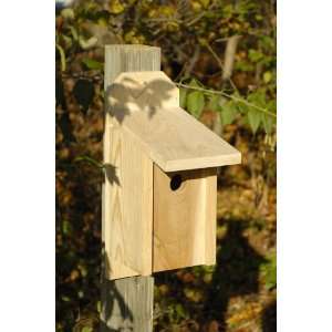 Western Bluebird Joy Box Birdhouse