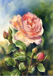 Pink Rose   Watercolor flower painting PRINT Joa  