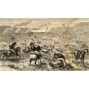  1871 Wood Engraving Hunting Guanaco Ostrich Valley Rio 