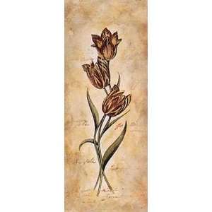 Tulip Finest LAMINATED Print Steve Leal 4x10